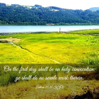 Picture 03 - Leviticus 23:35 KJV - On the first day shall be an holy convocation: ye - Bible Verse Picture