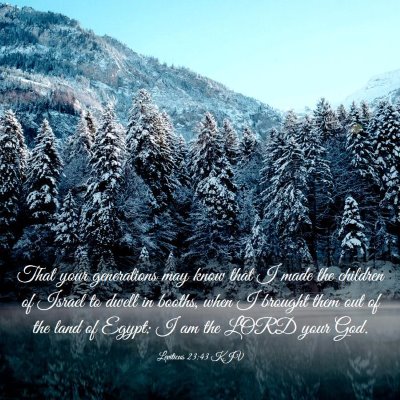 Picture 03 - Leviticus 23:43 KJV - That your generations may know that I made the - Bible Verse Picture
