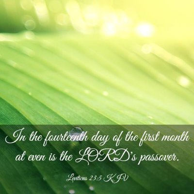 Picture 03 - Leviticus 23:5 KJV - In the fourteenth day of the first month at even - Bible Verse Picture