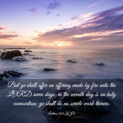 Picture 03 - Leviticus 23:8 KJV - But ye shall offer an offering made by fire unto - Bible Verse Picture