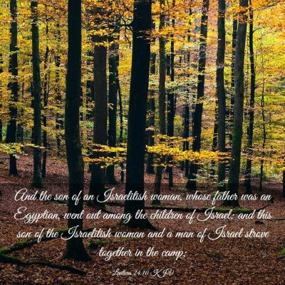Picture 03 - Leviticus 24:10 KJV - And the son of an Israelitish woman, whose father - Bible Verse Picture