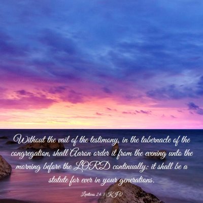 Picture 03 - Leviticus 24:3 KJV - Without the vail of the testimony, in the - Bible Verse Picture