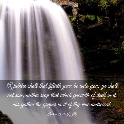 Picture 03 - Leviticus 25:11 KJV - A jubilee shall that fiftieth year be unto you: - Bible Verse Picture