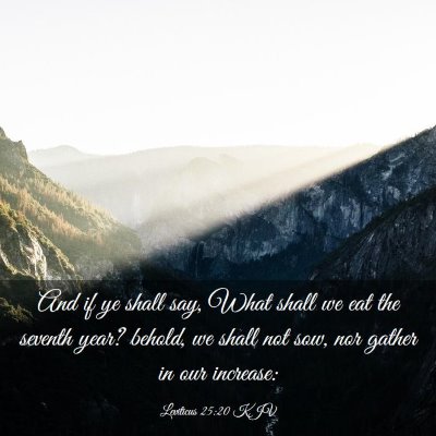 Picture 03 - Leviticus 25:20 KJV - And if ye shall say, What shall we eat the - Bible Verse Picture