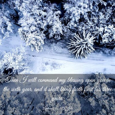 Picture 03 - Leviticus 25:21 KJV - Then I will command my blessing upon you in the - Bible Verse Picture