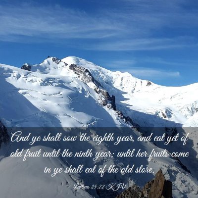 Picture 03 - Leviticus 25:22 KJV - And ye shall sow the eighth year, and eat yet of - Bible Verse Picture