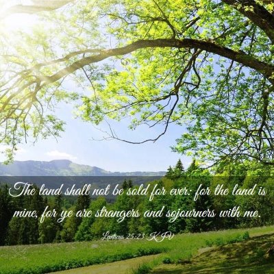 Picture 03 - Leviticus 25:23 KJV - The land shall not be sold for ever: for the land - Bible Verse Picture