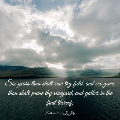 Picture 03 - Leviticus 25:3 KJV - Six years thou shalt sow thy field, and six years - Bible Verse Picture
