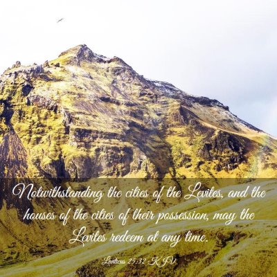 Picture 03 - Leviticus 25:32 KJV - Notwithstanding the cities of the Levites, and - Bible Verse Picture
