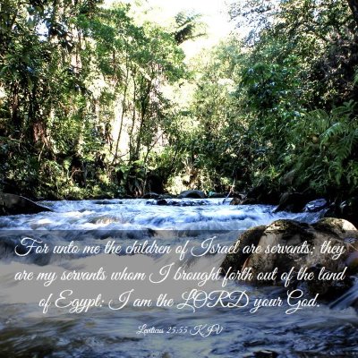 Picture 03 - Leviticus 25:55 KJV - For unto me the children of Israel are servants; - Bible Verse Picture