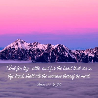 Picture 03 - Leviticus 25:7 KJV - And for thy cattle, and for the beast that are in - Bible Verse Picture