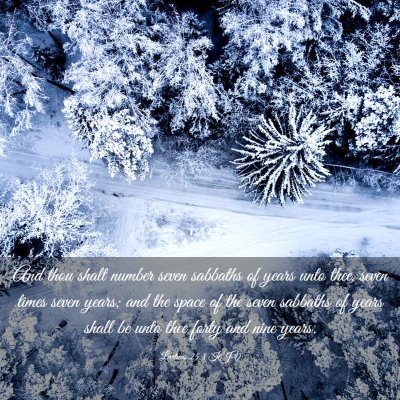 Picture 03 - Leviticus 25:8 KJV - And thou shalt number seven sabbaths of years - Bible Verse Picture