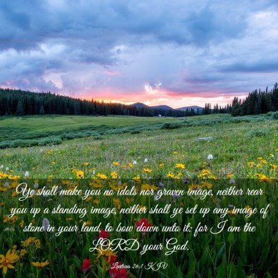 Picture 03 - Leviticus 26:1 KJV - Ye shall make you no idols nor graven image, - Bible Verse Picture