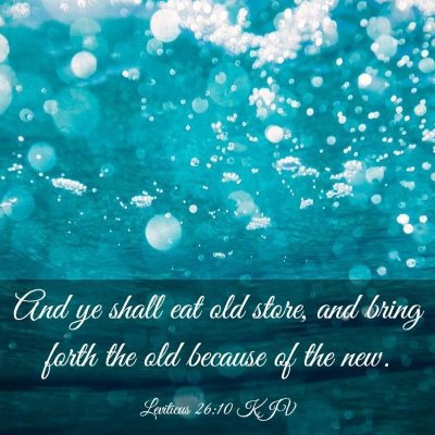 Picture 03 - Leviticus 26:10 KJV - And ye shall eat old store, and bring forth the - Bible Verse Picture