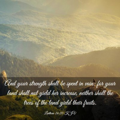 Picture 03 - Leviticus 26:20 KJV - And your strength shall be spent in vain: for - Bible Verse Picture