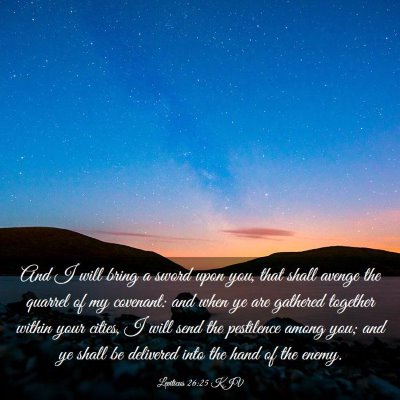 Picture 03 - Leviticus 26:25 KJV - And I will bring a sword upon you, that shall - Bible Verse Picture