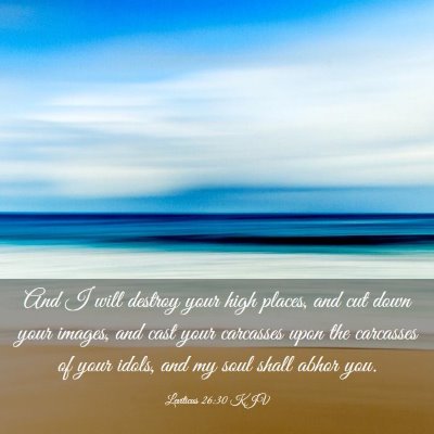 Picture 03 - Leviticus 26:30 KJV - And I will destroy your high places, and cut down - Bible Verse Picture