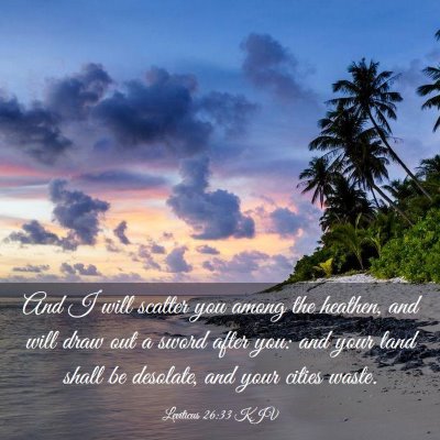 Picture 03 - Leviticus 26:33 KJV - And I will scatter you among the heathen, and - Bible Verse Picture