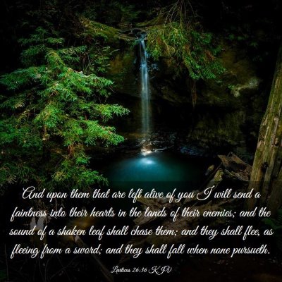 Picture 03 - Leviticus 26:36 KJV - And upon them that are left alive of you I will - Bible Verse Picture
