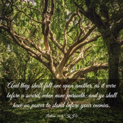 Picture 03 - Leviticus 26:37 KJV - And they shall fall one upon another, as it were - Bible Verse Picture