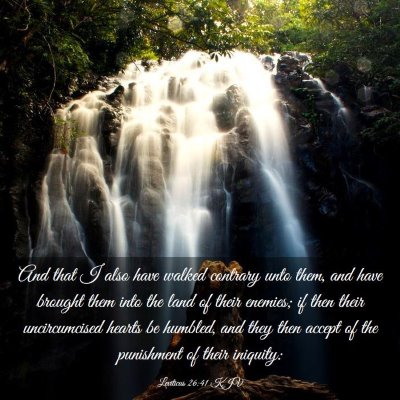 Picture 03 - Leviticus 26:41 KJV - And that I also have walked contrary unto them, - Bible Verse Picture