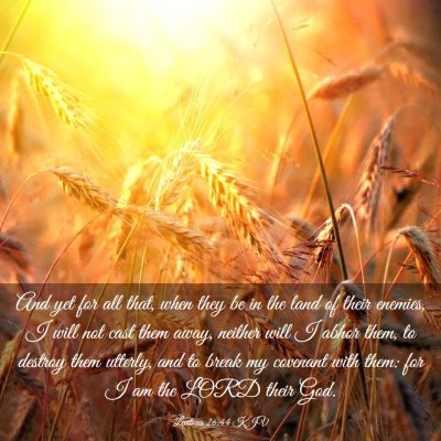 Picture 03 - Leviticus 26:44 KJV - And yet for all that, when they be in the land of - Bible Verse Picture