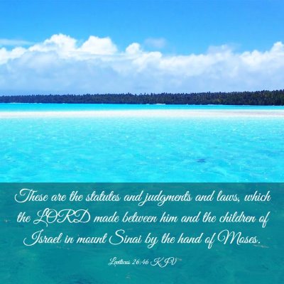 Picture 03 - Leviticus 26:46 KJV - These are the statutes and judgments and laws, - Bible Verse Picture