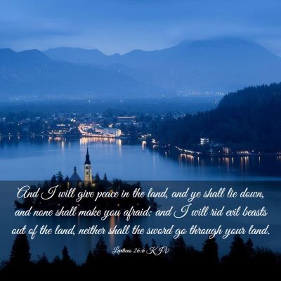 Picture 03 - Leviticus 26:6 KJV - And I will give peace in the land, and ye shall - Bible Verse Picture