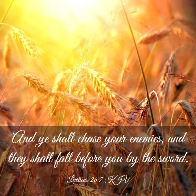 Picture 03 - Leviticus 26:7 KJV - And ye shall chase your enemies, and they shall - Bible Verse Picture