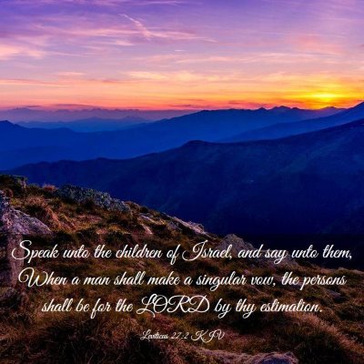 Picture 03 - Leviticus 27:2 KJV - Speak unto the children of Israel, and say unto - Bible Verse Picture