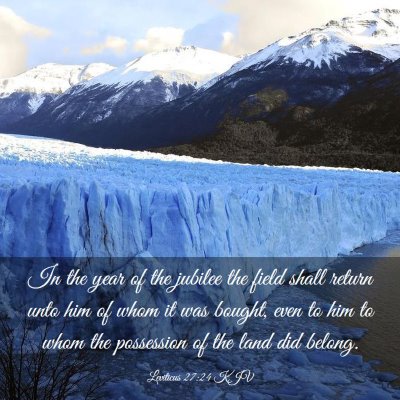Picture 03 - Leviticus 27:24 KJV - In the year of the jubilee the field shall return - Bible Verse Picture