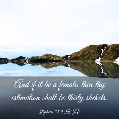 Picture 03 - Leviticus 27:4 KJV - And if it be a female, then thy estimation shall - Bible Verse Picture