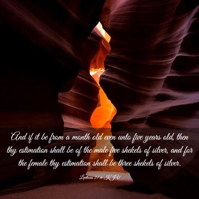Picture 03 - Leviticus 27:6 KJV - And if it be from a month old even unto five - Bible Verse Picture