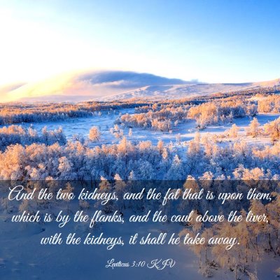 Picture 03 - Leviticus 3:10 KJV - And the two kidneys, and the fat that is upon - Bible Verse Picture