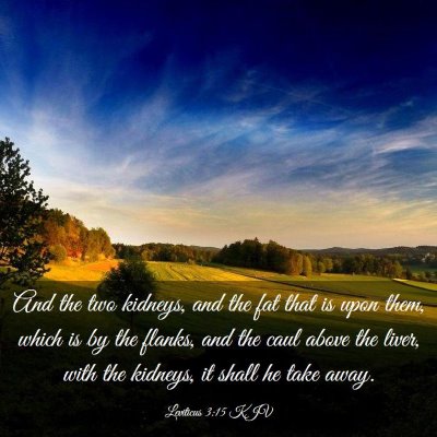 Picture 03 - Leviticus 3:15 KJV - And the two kidneys, and the fat that is upon - Bible Verse Picture