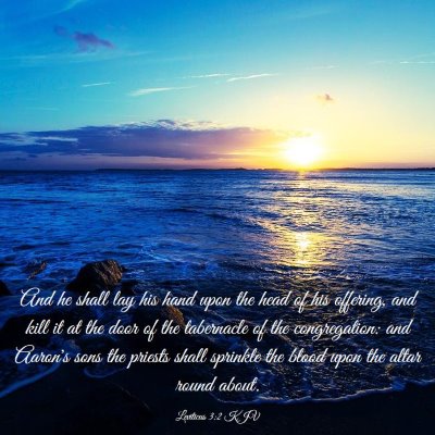 Picture 03 - Leviticus 3:2 KJV - And he shall lay his hand upon the head of his - Bible Verse Picture