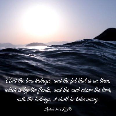 Picture 03 - Leviticus 3:4 KJV - And the two kidneys, and the fat that is on them, - Bible Verse Picture