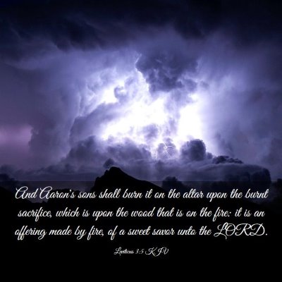 Picture 03 - Leviticus 3:5 KJV - And Aaron's sons shall burn it on the altar upon - Bible Verse Picture
