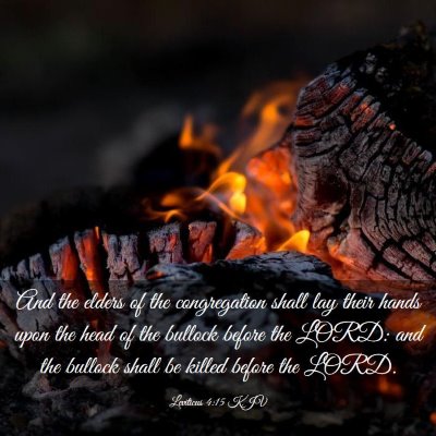 Picture 03 - Leviticus 4:15 KJV - And the elders of the congregation shall lay - Bible Verse Picture
