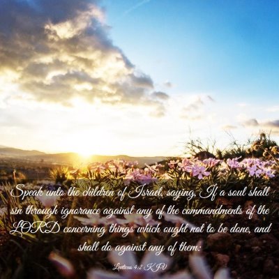 Picture 03 - Leviticus 4:2 KJV - Speak unto the children of Israel, saying, If a - Bible Verse Picture