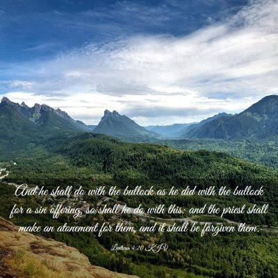 Picture 03 - Leviticus 4:20 KJV - And he shall do with the bullock as he did with - Bible Verse Picture