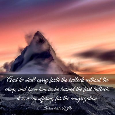 Picture 03 - Leviticus 4:21 KJV - And he shall carry forth the bullock without the - Bible Verse Picture