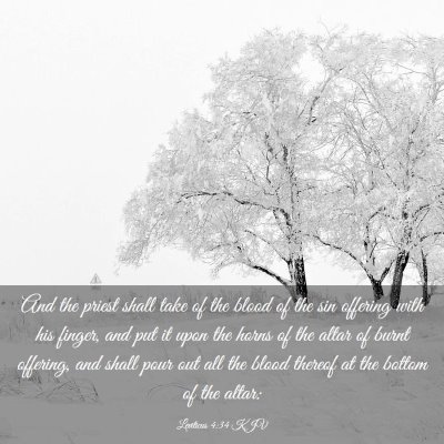 Picture 03 - Leviticus 4:34 KJV - And the priest shall take of the blood of the sin - Bible Verse Picture