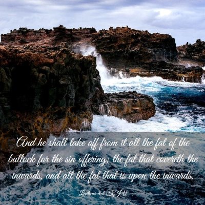 Picture 03 - Leviticus 4:8 KJV - And he shall take off from it all the fat of the - Bible Verse Picture