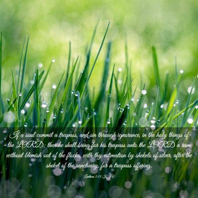 Picture 03 - Leviticus 5:15 KJV - If a soul commit a trespass, and sin through - Bible Verse Picture