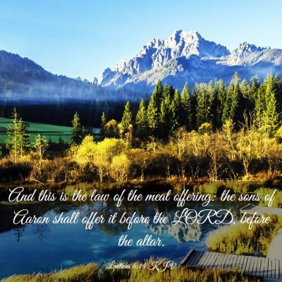 Picture 03 - Leviticus 6:14 KJV - And this is the law of the meat offering: the - Bible Verse Picture