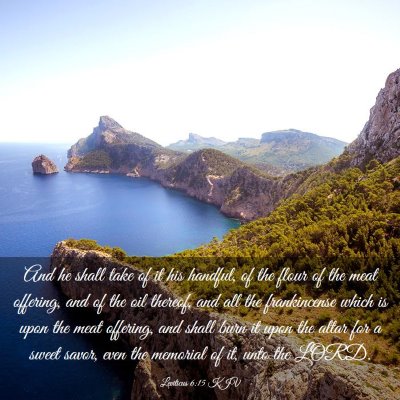 Picture 03 - Leviticus 6:15 KJV - And he shall take of it his handful, of the flour - Bible Verse Picture
