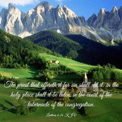 Picture 03 - Leviticus 6:26 KJV - The priest that offereth it for sin shall eat it: - Bible Verse Picture