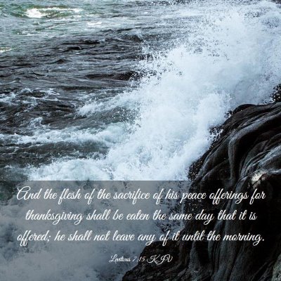 Picture 03 - Leviticus 7:15 KJV - And the flesh of the sacrifice of his peace - Bible Verse Picture