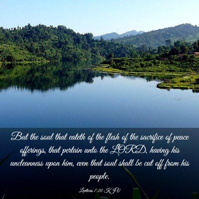 Picture 03 - Leviticus 7:20 KJV - But the soul that eateth of the flesh of the - Bible Verse Picture